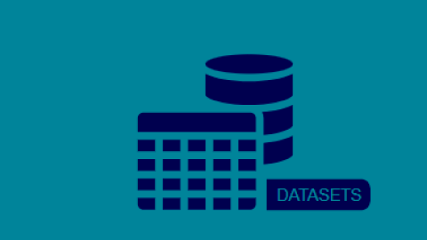 Datasets