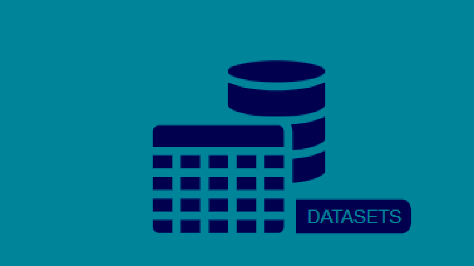 Datasets